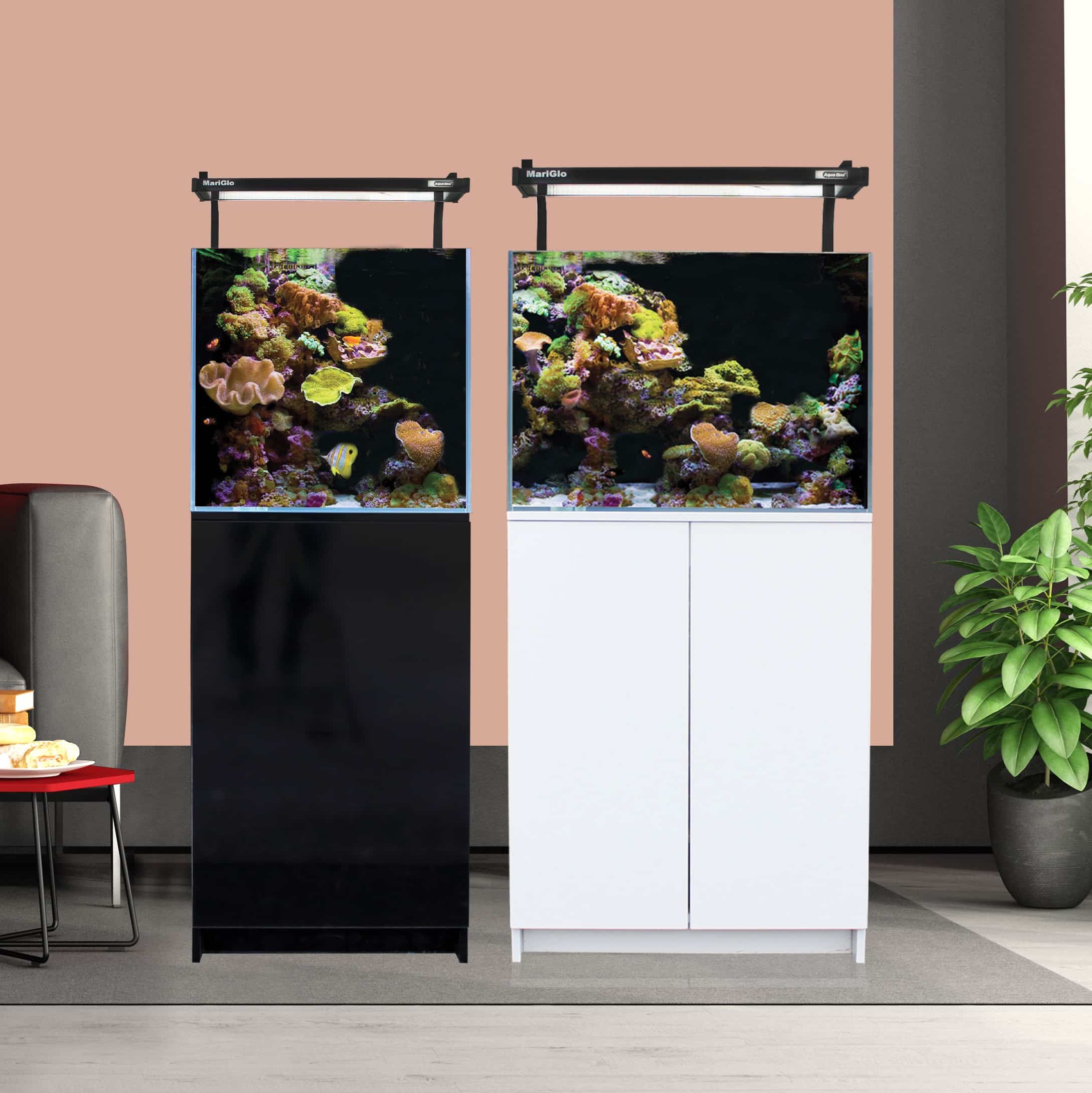 Aqua One Store Aqua One Store UK